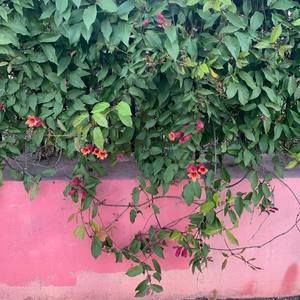 Meet your Posher, Mary Claire